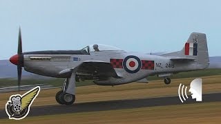 P51 Mustang Fighter Low Fast and Impressive [upl. by Ardnaeed]