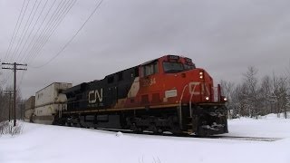 100 TRAINS CN 2234 at Washago 02FEB2014 [upl. by Pepin981]