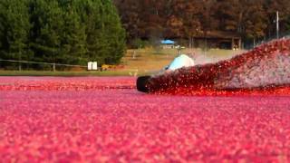 Red Bull  Cranberry Wakeboarding [upl. by Jari948]