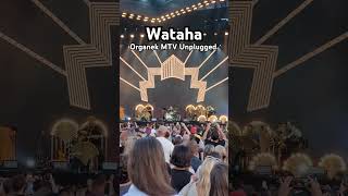 Organek  Wataha MTV Unplugged [upl. by Navert]