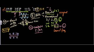 Mapping genes with a three point testcross [upl. by Ellatnahc383]