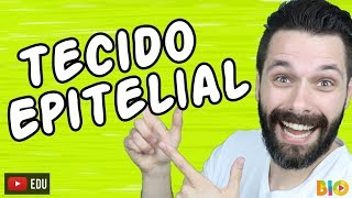 TECIDO EPITELIAL  HISTOLOGIA  Aula  Biologia com Samuel Cunha [upl. by Alla161]