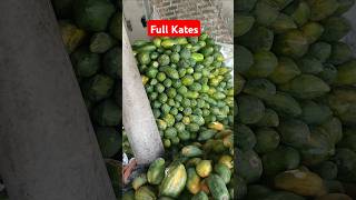 Ready Kates Melon Semongko shortvideo buahnya streetfood buah [upl. by Ecyak]