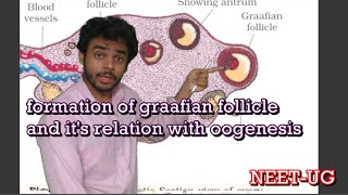 ovarain follicle development Human Reproduction live lec 9 by Dr Akash Singh [upl. by Yud]