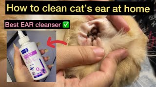 How to clean cat’s ear at home  virbac salicylic acid ear cleanser  best ear Cleanser for cats [upl. by Ameer676]