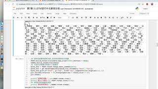 Pytorch深度学习 7－3 LSTM进行中文文本分类 [upl. by Froemming458]