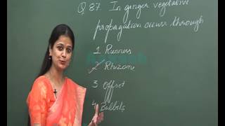 AIPMT 2015 SolutionBiology Video QNo87 Aakash Institute [upl. by Anertak281]