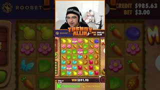 NEW MOLEIONAIRE SLOT PAYS INSANE 🐀🐀 1000 WIN gambling roobet [upl. by Llebasi]