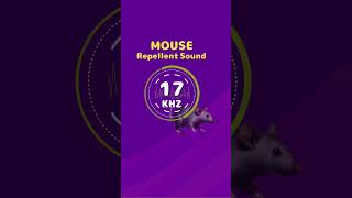 Mouse amp Rat Repellent Noise Highfrequency sounds [upl. by Roch574]