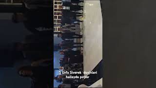 Ooo bir siverekli haha babı [upl. by Hcirdeirf]