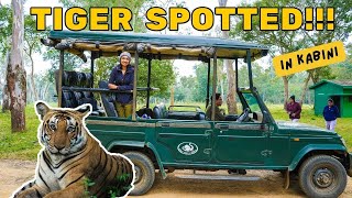 KABINI SAFARI  BEST TIGER SIGHTING  Kabini Resorts [upl. by Hardwick]