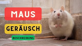 🐁🔈Maus Geräusche und Beschreibung 🐁 Mäuse Quietschen [upl. by Henig820]