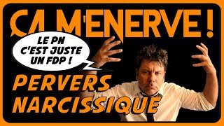 PN Pervers Narcissique  la pathologisation du connard   ÇA MENERVE 03 [upl. by Errecart]