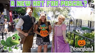 Flynn amp Rapunzel Discuss New Hat Ideas For Pascal Disneyland 2024 [upl. by Haswell]