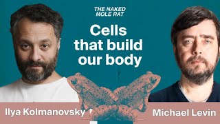 Professor Michael Levin on cells that build our body  Ilya Kolmanovsky  The Naked Mole Rat [upl. by Sandy760]