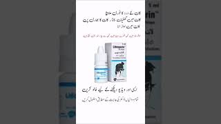 lidosporin ear drops  lidosporin ear drops uses in urdu lidosporineardrops​ earpainrelief​ [upl. by Lad]