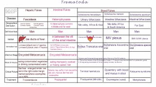 Trematodes  Parasitology [upl. by Arriaet637]