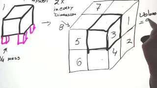 Structure and Function Allometry and Scaling [upl. by Eceirtal635]