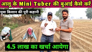 आलू के mini tuber की बुआई देखो  आलू बुआई का अनोखा तरीका देखो  potato mini tuber  mini tuber [upl. by Oirtemed]