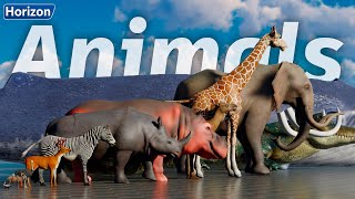 Animals Size Comparison  3D Real Scale [upl. by Ecerahs]