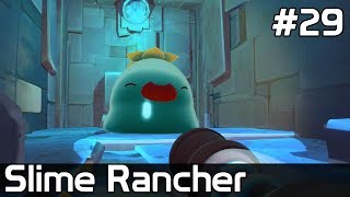 Slime Rancher Po Polsku 29 NOWE Slime amp Glass Desert [upl. by Jinny69]