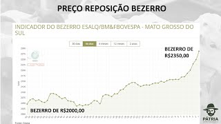 🚨Gestão de Risco no Pecuário Garanta o Valor do Seu Investimento com Proteção de Preço [upl. by Fredel]