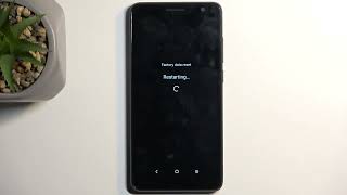 How to Hard Reset Settings on Alcatel 1B [upl. by Tobey]