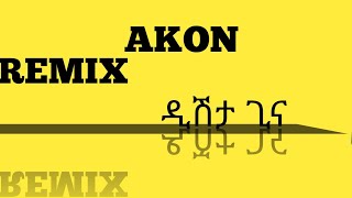 Dishta Gina REMIX Lyrics akon vs Tariku [upl. by Beuthel995]