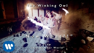 The Winking Owl  Now What Official Video [upl. by Idzik]