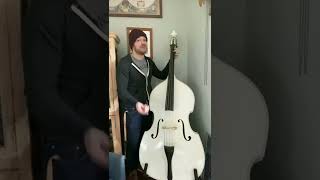 Upright bass from a guitar players perspective [upl. by Nileuqcaj]