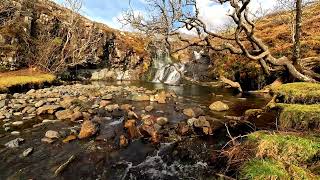 Isle Of Mull East Forst Waterfalls FPV [upl. by Joacimah651]