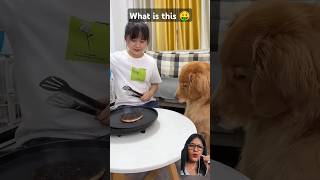 Duoduowhat is this 🤑 funny dog goldenretriever viral [upl. by Enillebyam77]