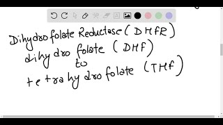 Is trimethoprim a mechanixmbased inhibitor of bacterial dihydrofolate reductase [upl. by Naellij]