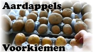 De Moestuin 4 Aadappels Voorkiemen [upl. by Htebazileyram733]