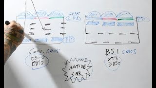 BSI SENSOR 🤔 HOW A BSI Sensor works amp is Different than a conventional [upl. by So114]