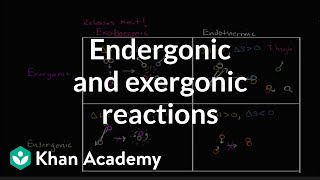 Endergonic exergonic exothermic and endothermic reactions  Khan Academy [upl. by Etteyafal114]