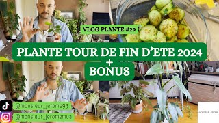 VLOG PLANTE N°29  quotPLANTE TOURquot DE FIN DETE 2024  BONUS [upl. by Dich]