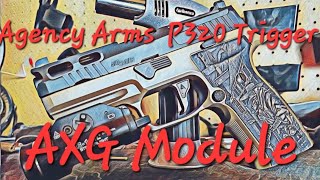 agency arms p320 trigger in axg module [upl. by Huntlee]