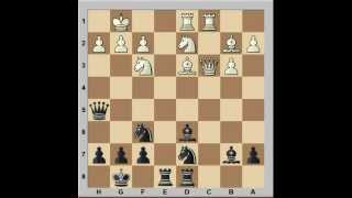 Queens Indian Defence Boris Spassky vs Mikhail Tal [upl. by Azal804]