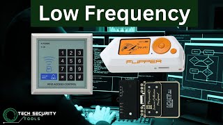 Understanding Low Frequency [upl. by Kellen561]