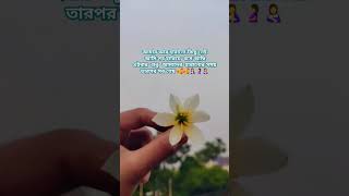 Ami o ekdin successful hoboযদি বাঁচি [upl. by Zsolway]