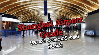 Shanghai Airport Guide [upl. by Gradey]