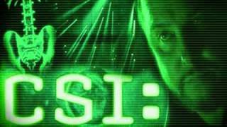 CSI Theme Tune [upl. by Shuma]