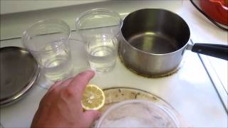 Penicillium isolation from citrus fruit  Part 1 [upl. by Aenitsirhc]