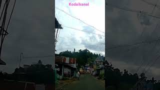 Kodaikanal driving pleasure nature illayaraja music trending travel shorts evening friday [upl. by Denys]