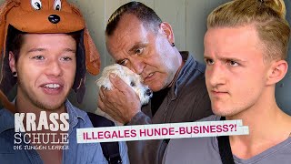 Illegales HundeBusiness 😱🐶 134 I Krass Schule [upl. by Eelnayr]