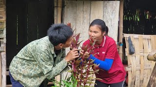 Together Thu and Nghiem dismantled the old pig barn to make a vegetable garden  Lý Thị Thu [upl. by Eilyac]