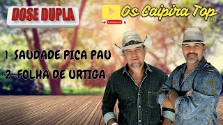 DOSE DUPLA SAUDADE PICAPAU  FOLHA DE URTIGA  oscaipiratop2024 remixsertanejo pancadao [upl. by Anavlys]