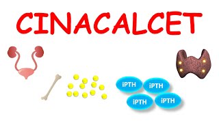 Cinacalcet 30 mg tablets for hyperparathyroidism  Hypercalcemia [upl. by Netsud]