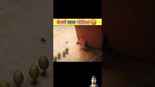 Amazing Hindi facts part40 Hindi facts viralvideo facts motivation trinding [upl. by Ahteral553]